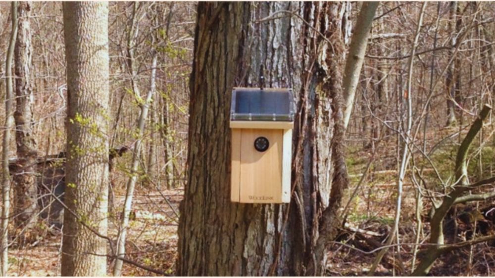 How to Maintain Aosu Hidden Cameras for Longevity and Efficiency